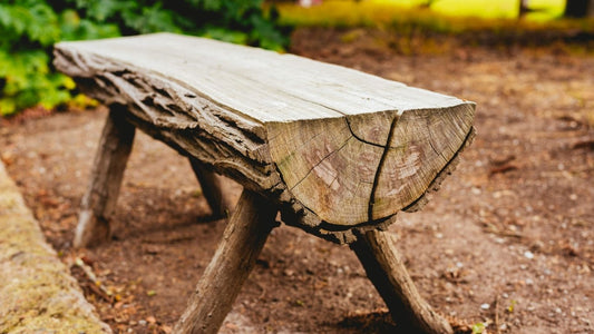 ustic wooden bench made from tree trunks and branches, an example of DIY wooden camp furniture that can be built in the wild using a machete like the Woodman’s Pal.