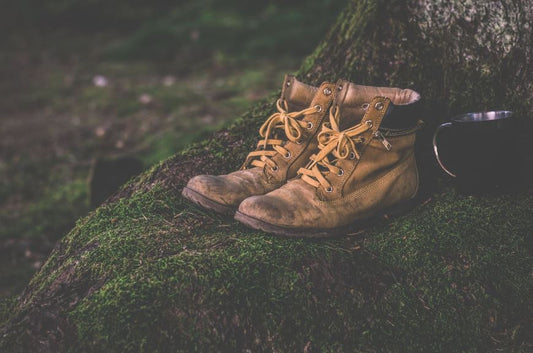 What To Wear When Clearing Brush