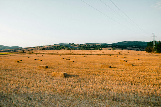 A hay field on a farm in day time.