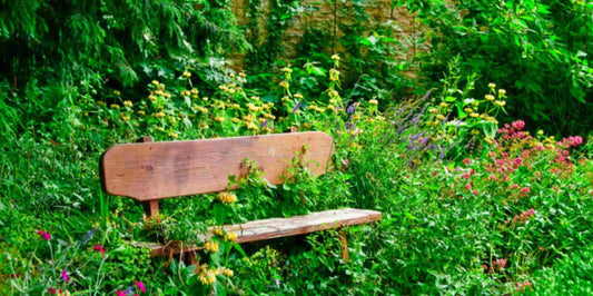 How to Properly Use a Garden Machete