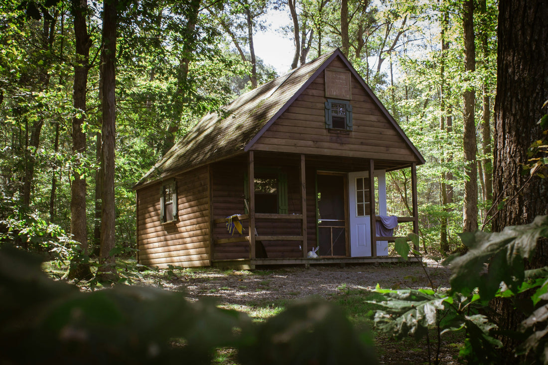Small wooden cabin in the woods, representing the need for a reliable cabin tool kit for repairs, trail work, and property upkeep.